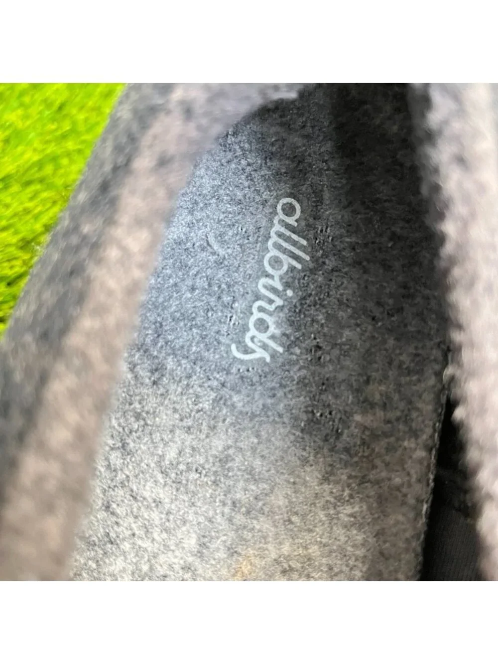 allbirds please review