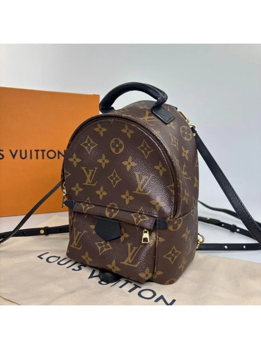 Louis Vuitton Palm Springs Mini Backpack Monogram