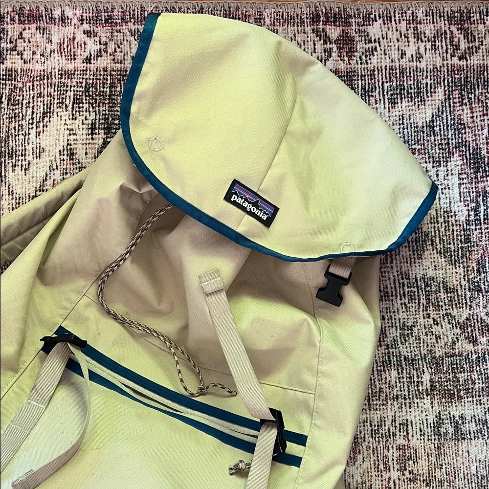 Patagonia classic top