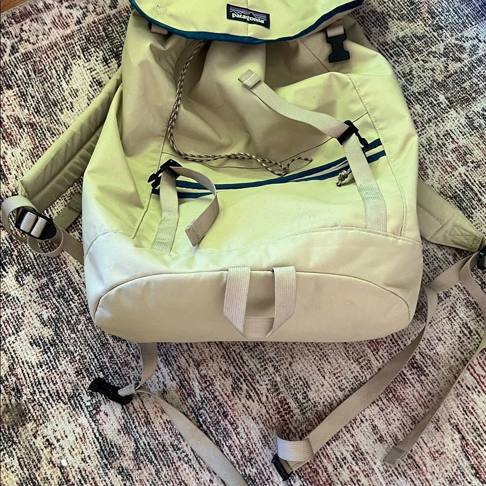Patagonia classic top