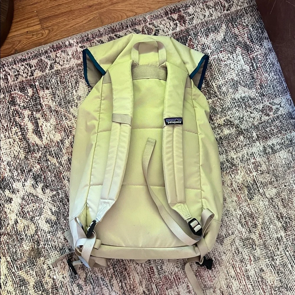Patagonia classic top