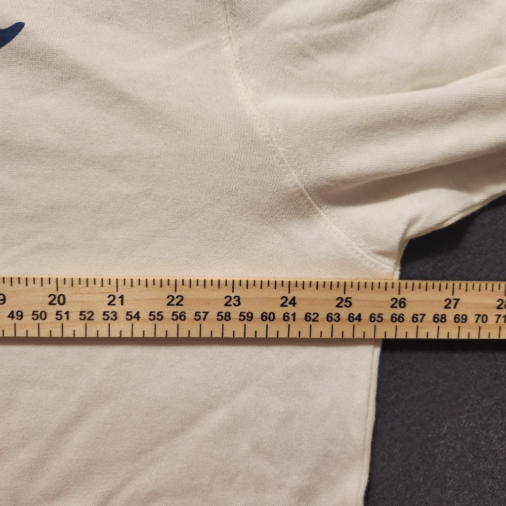 Champion hoodie mens