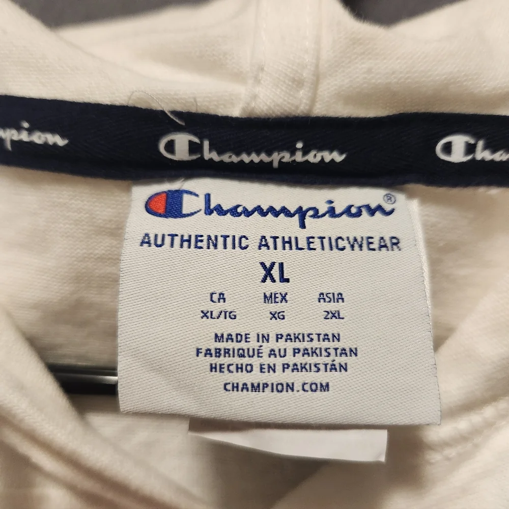 Champion hoodie mens