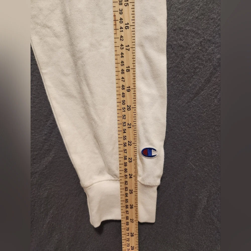 Champion hoodie mens