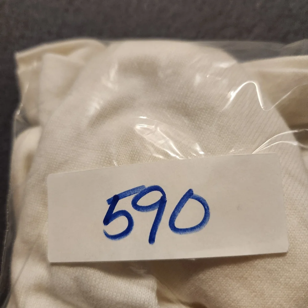 Champion hoodie mens