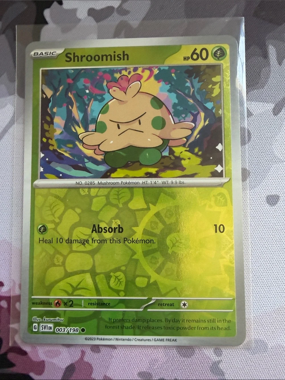 Pokemon lot flaws