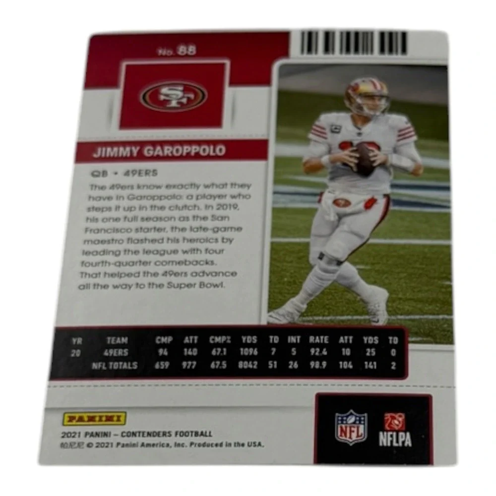 Panini brand series