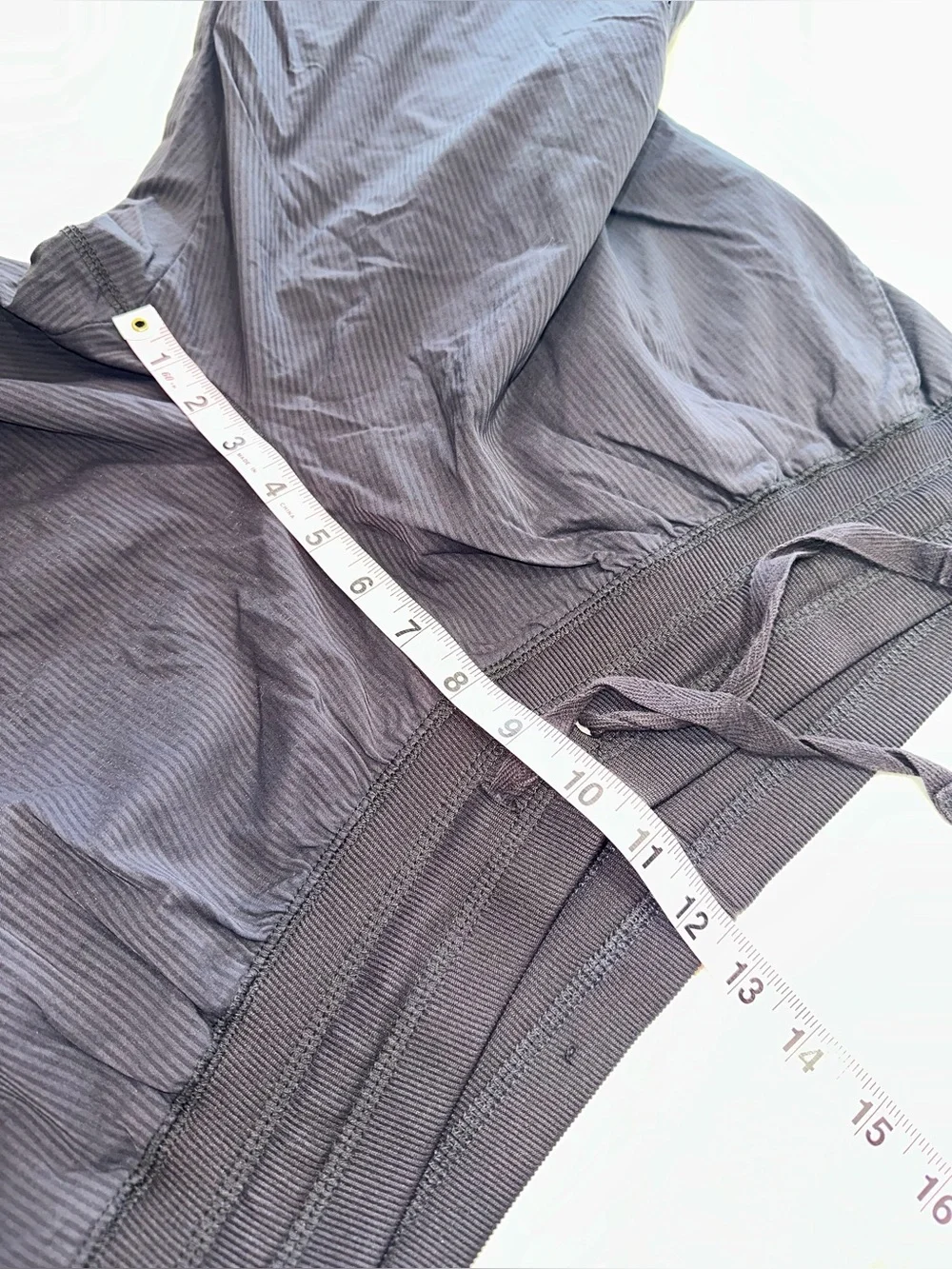 Champion size xl~