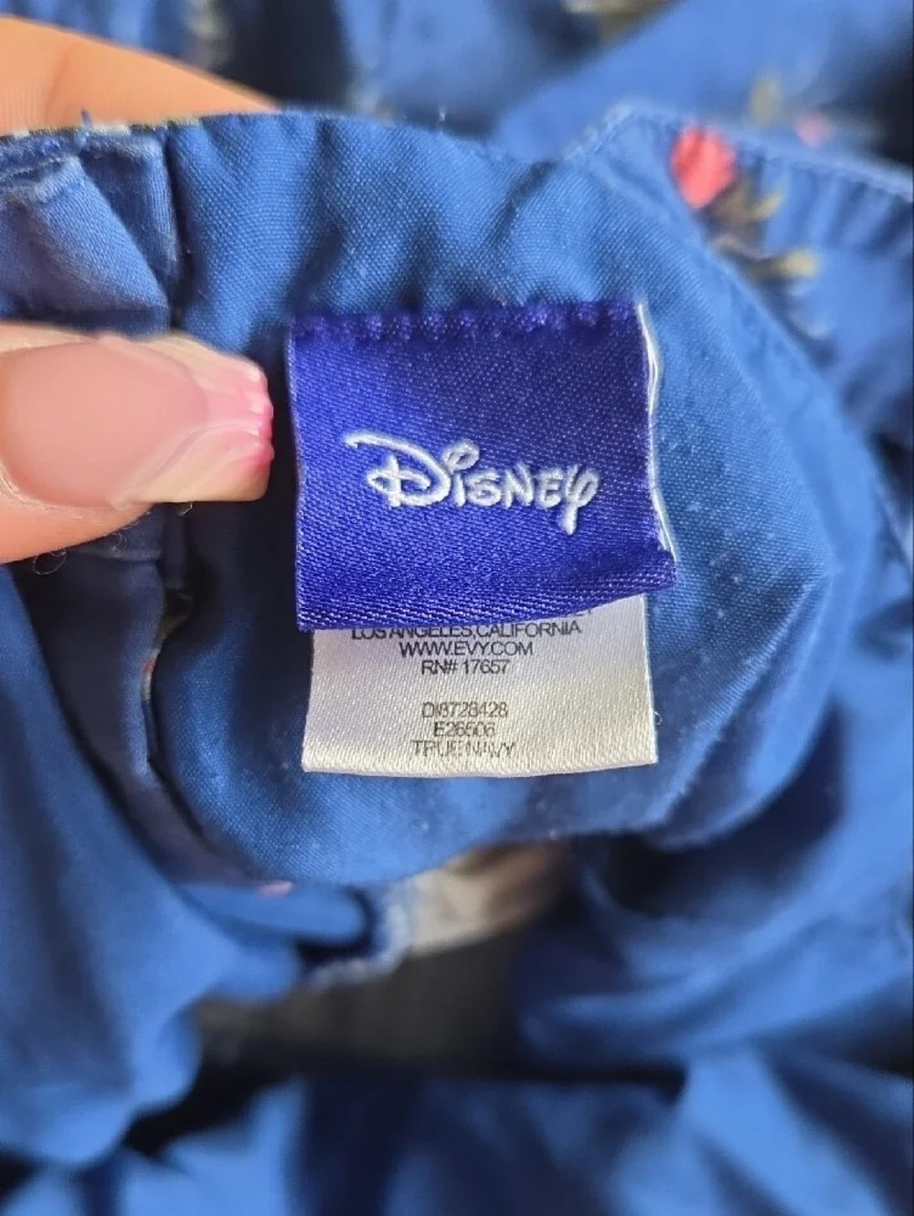 Disney euc layered