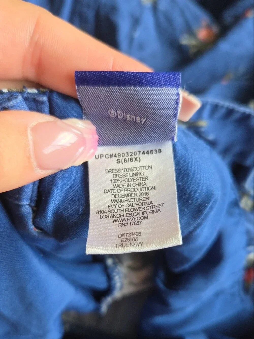 Disney euc layered