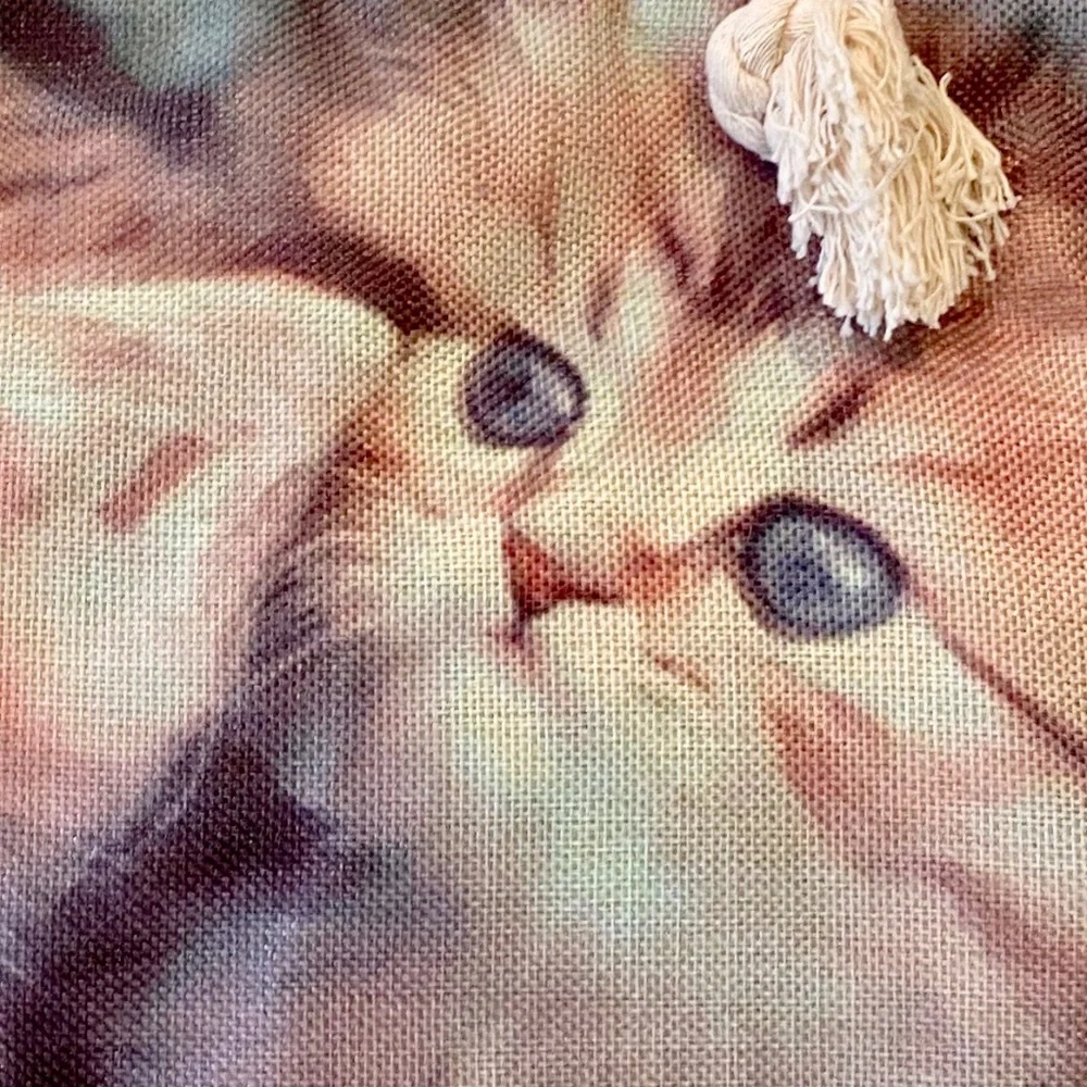 N/A this kittens