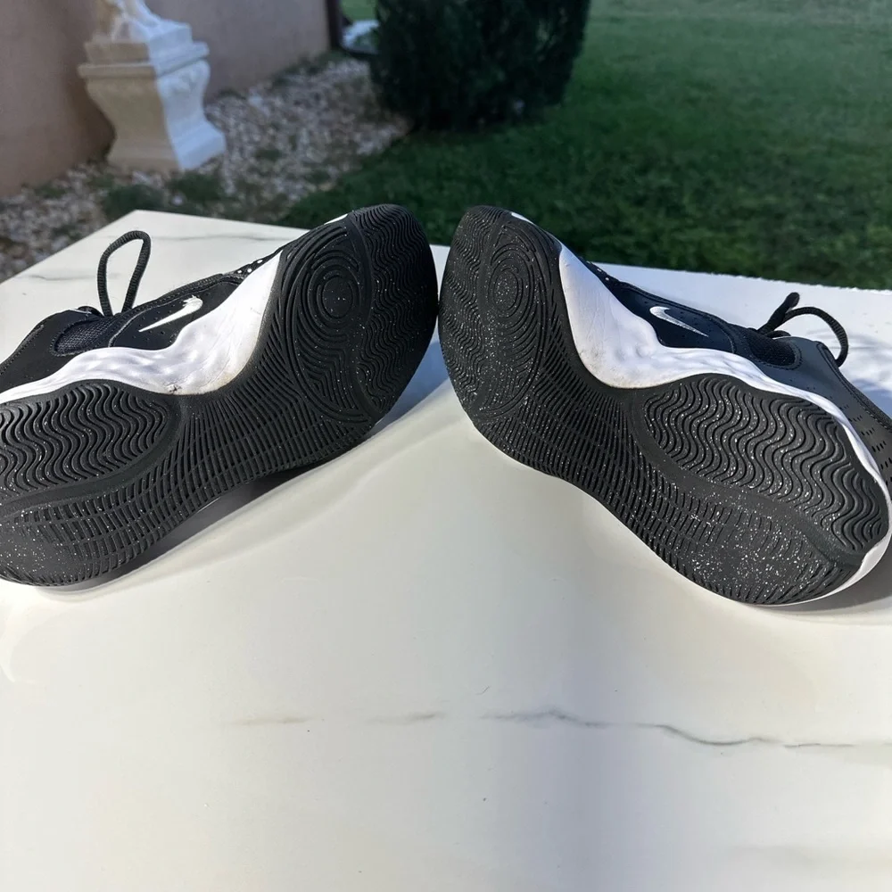 Nike fly by