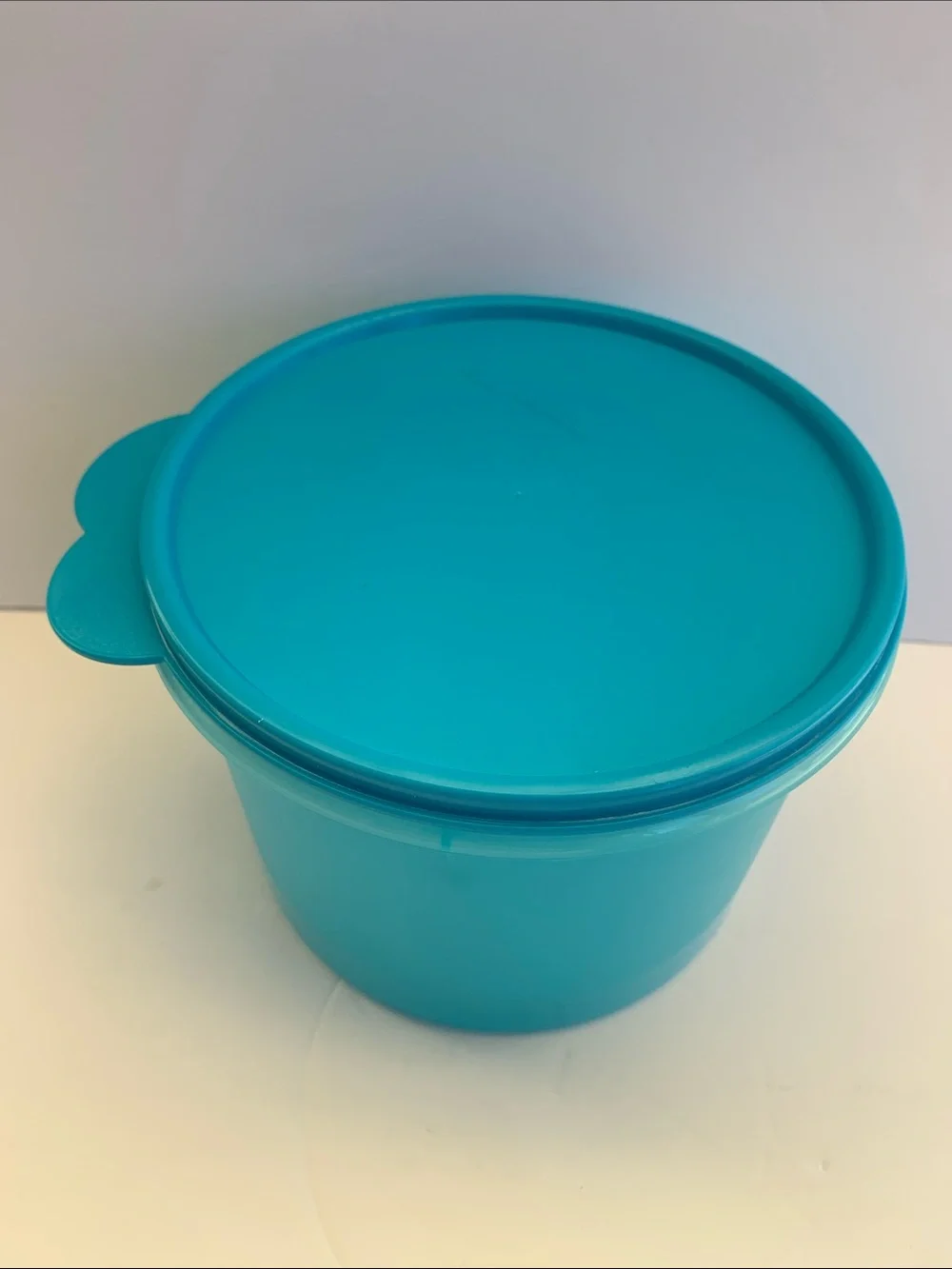 Tupperware capacity large