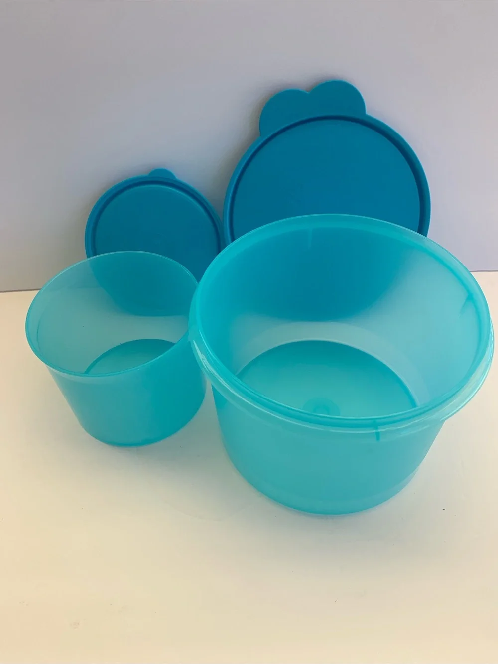 Tupperware capacity large