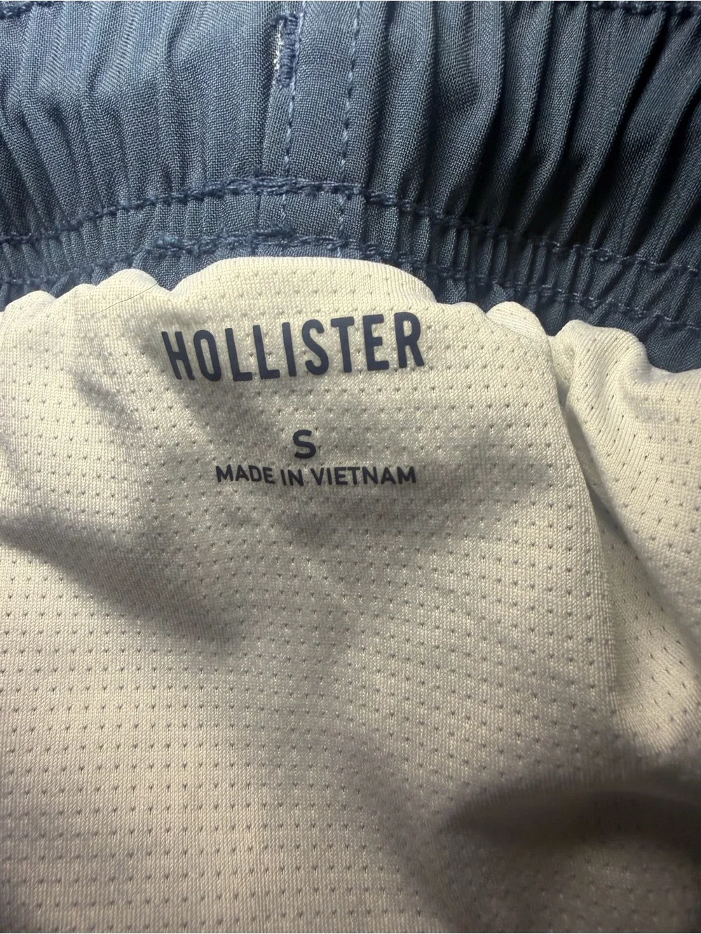 Hollister classic swim