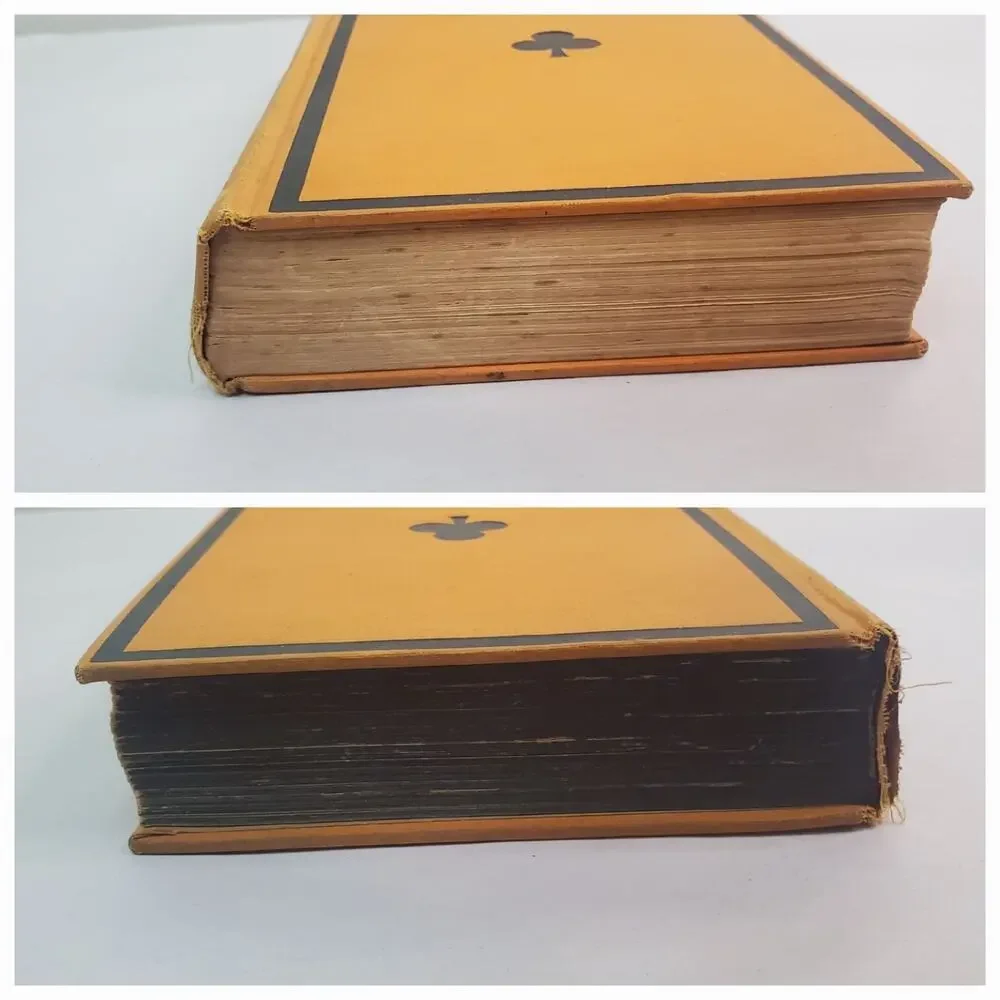 Houghton Mifflin black ace