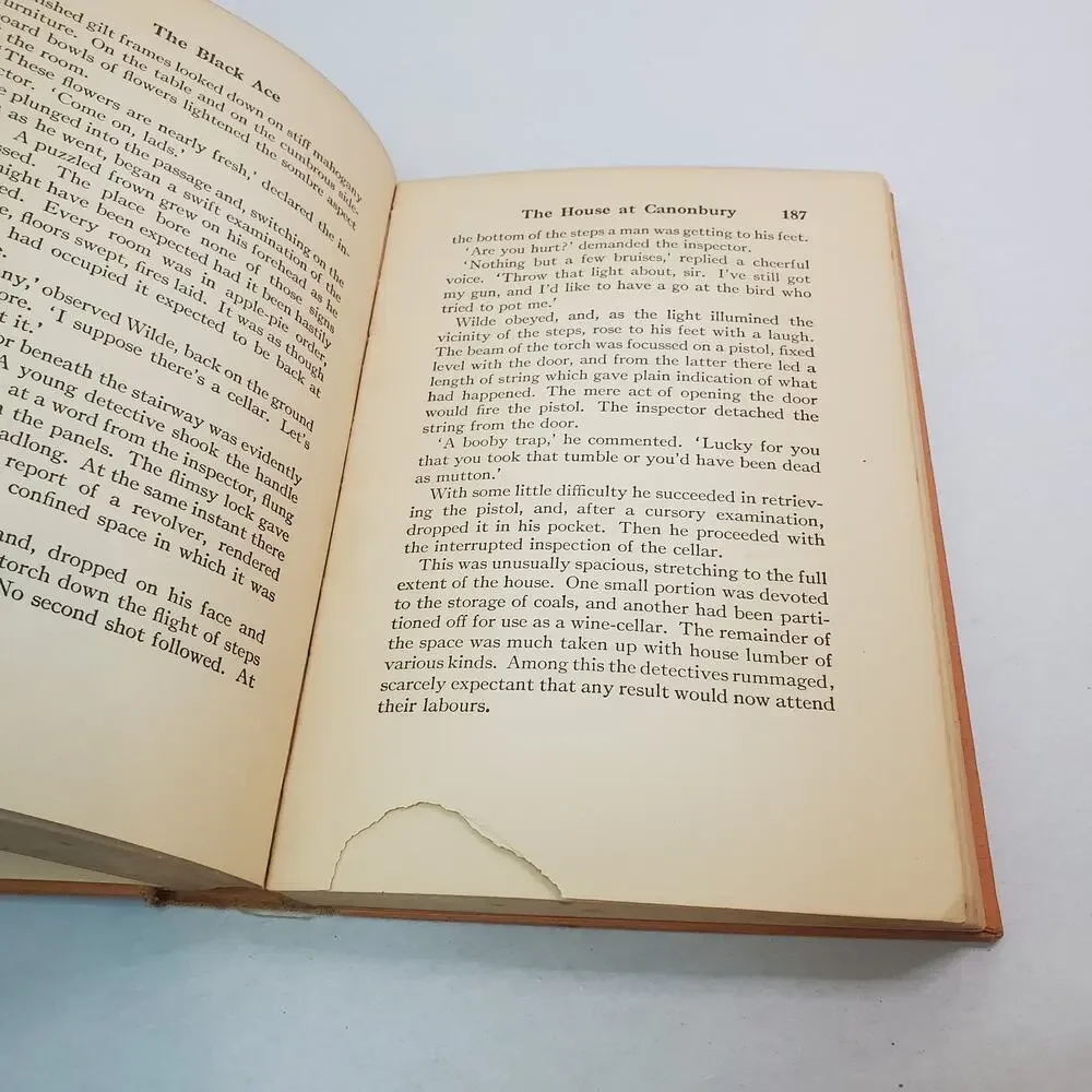 Houghton Mifflin black ace