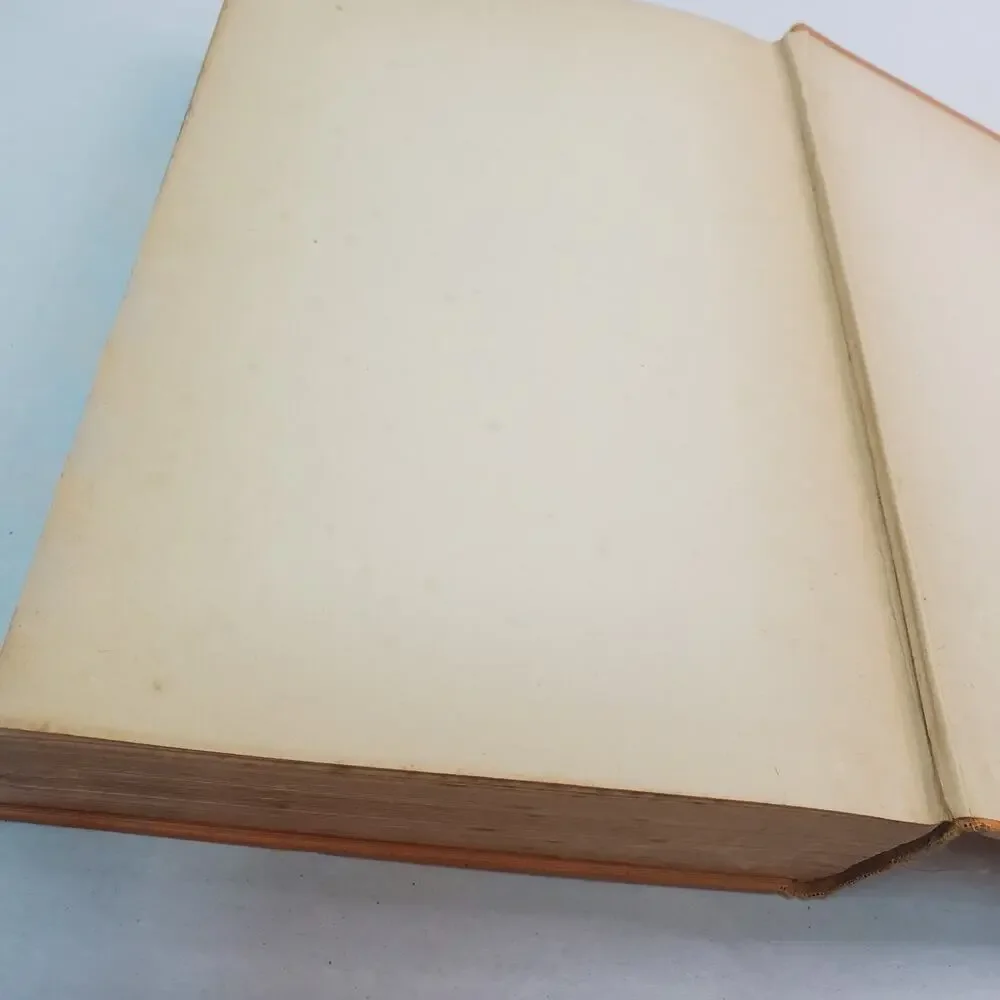 Houghton Mifflin black ace