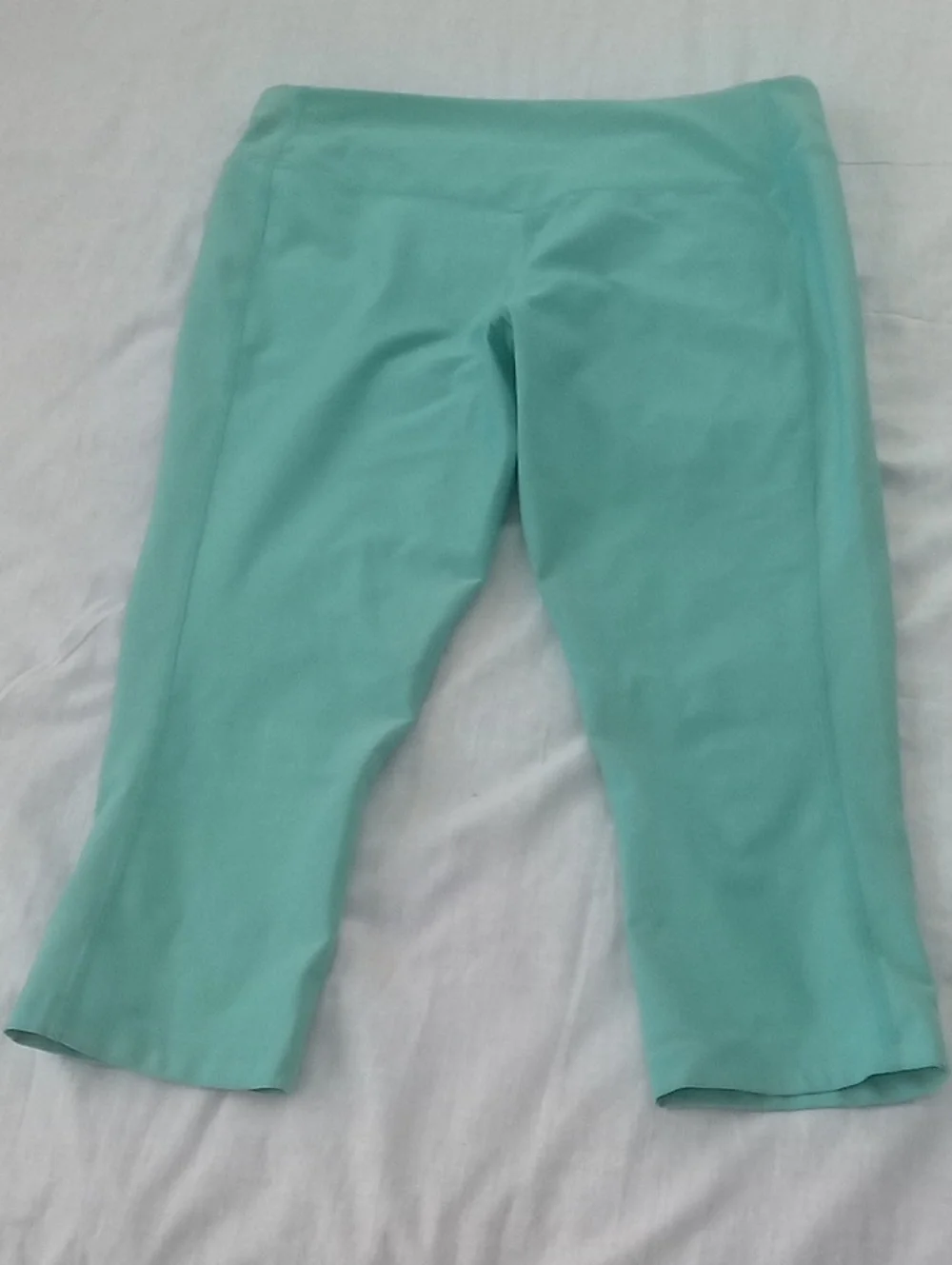 Nike stretchy capri