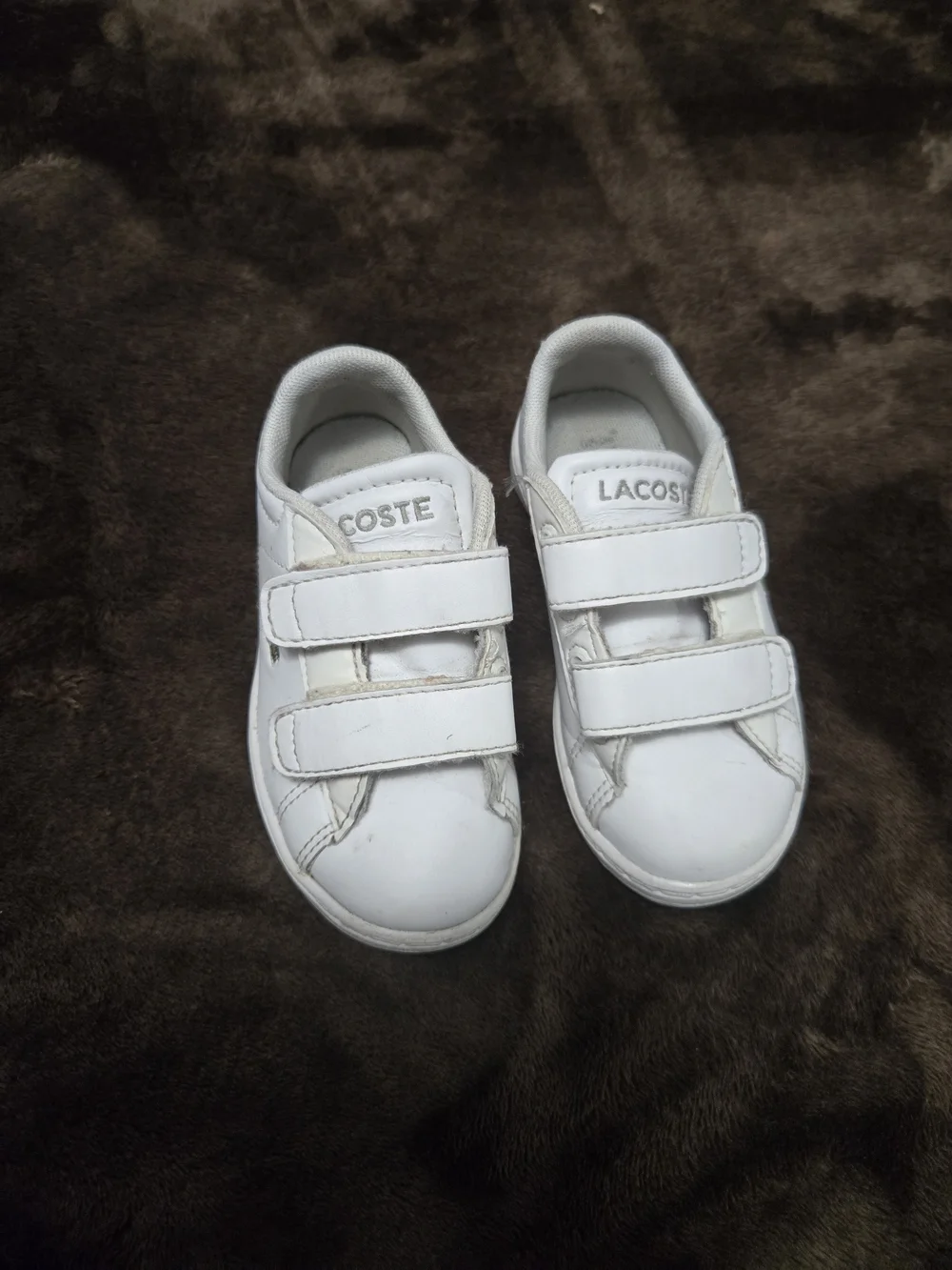 Lacoste kids sneaker