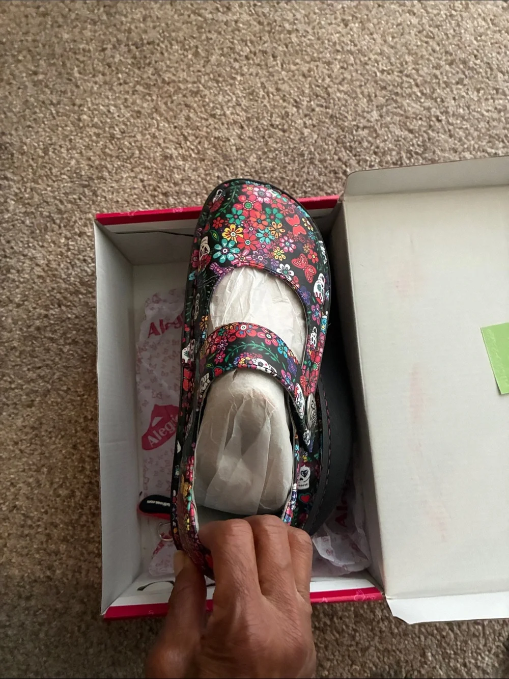 Alergria women mary