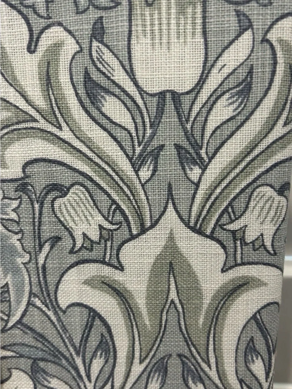 Morris & Co. morris co