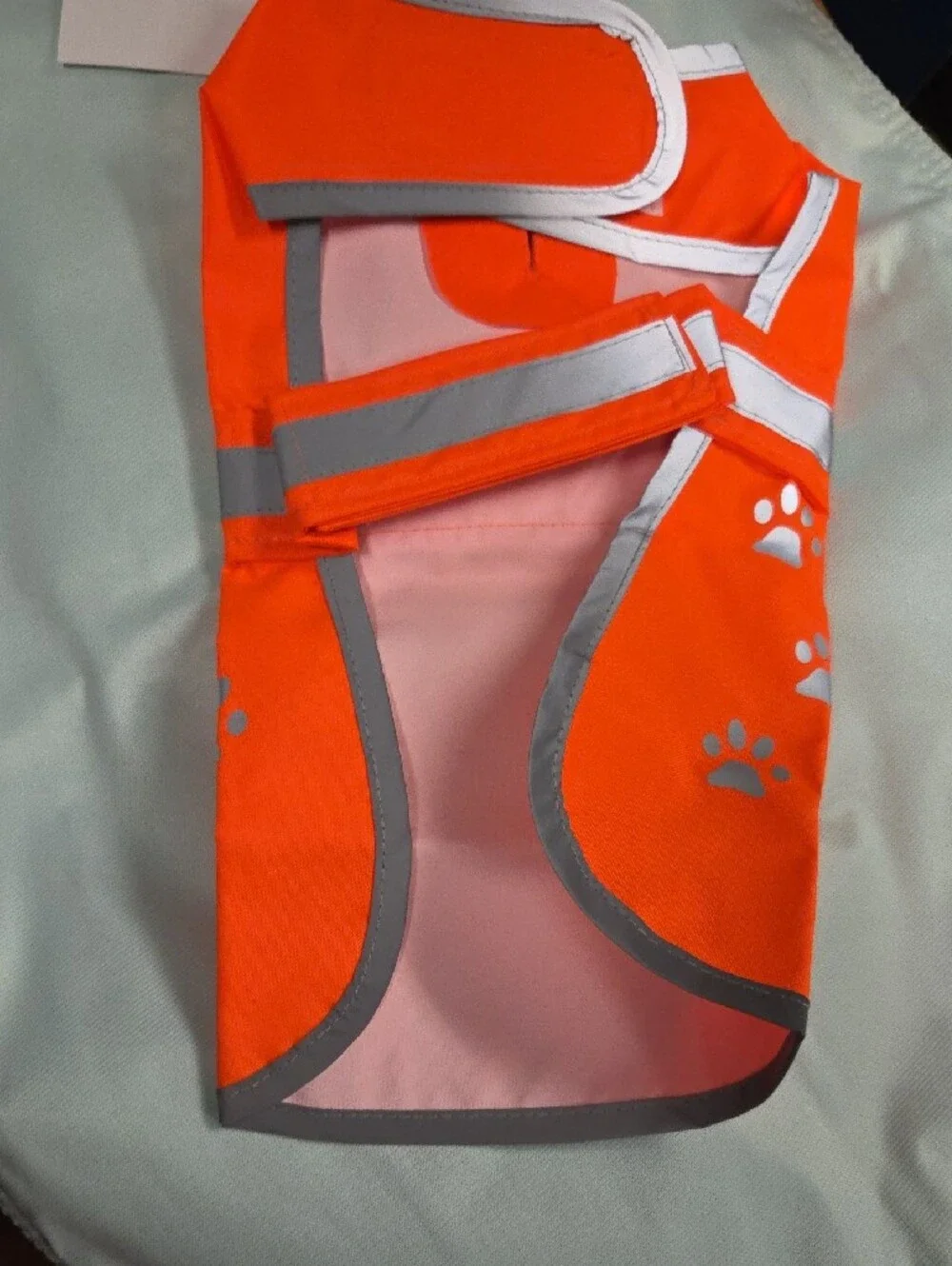 Frisco orange dog