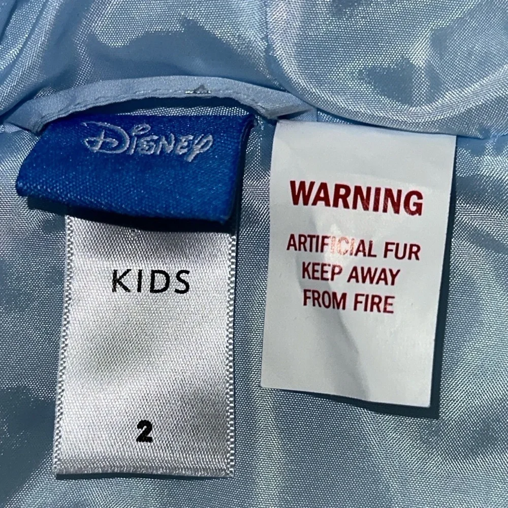 Disney snowflakes silver
