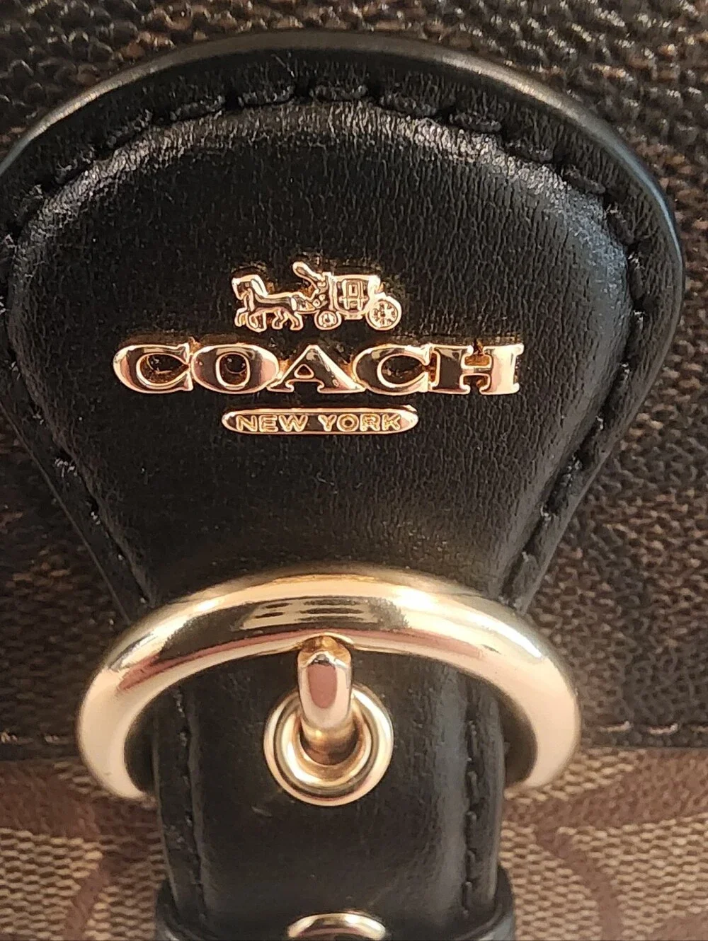 Coach this highly