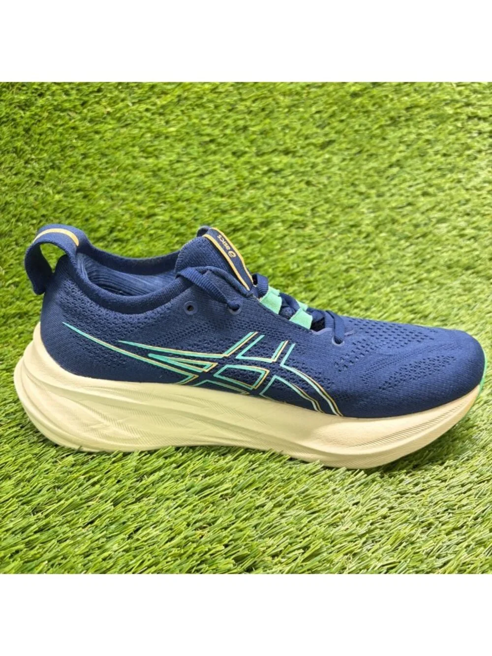 Asics please review