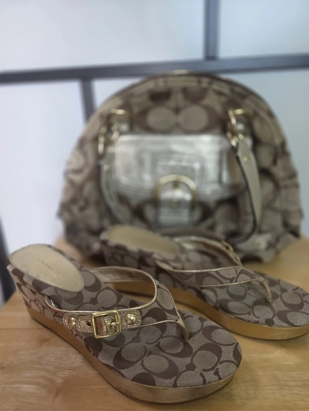 Coach Brown Signature Canvas Handbag And Wedge Thong Sandals Size 11