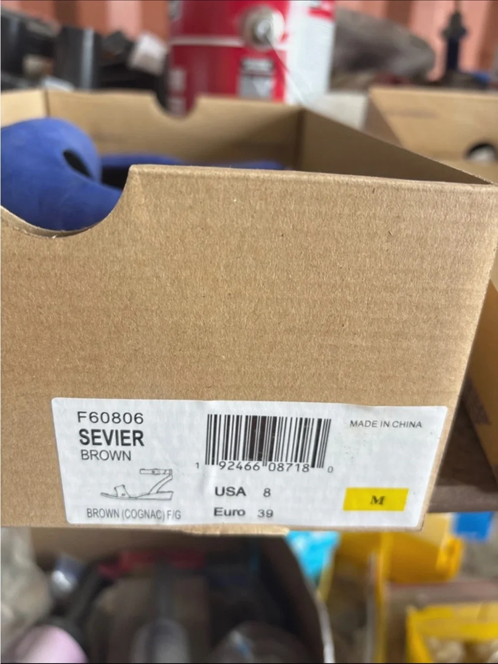 EVIE bold cobalt