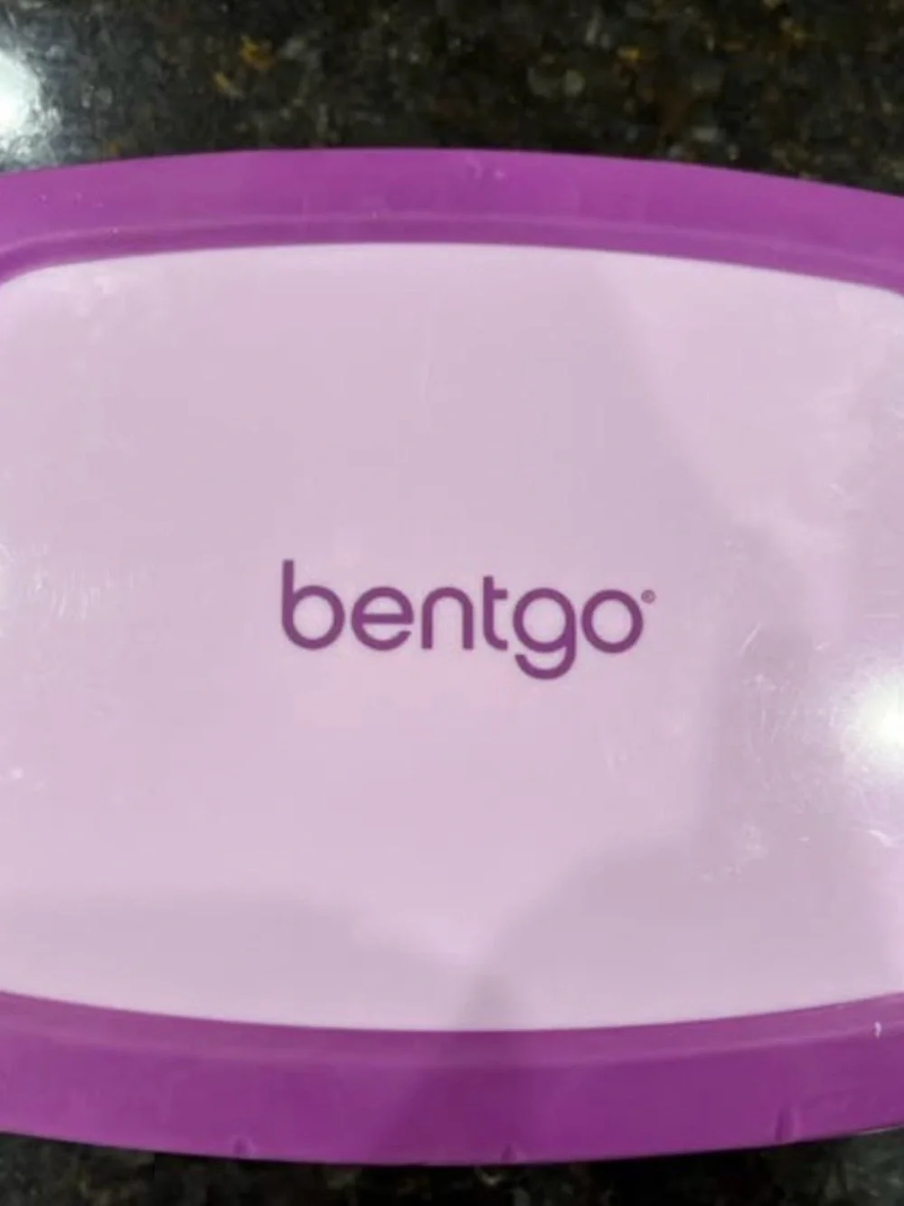 Bentgo Pink/Purple Food Storage Container - Bentgo