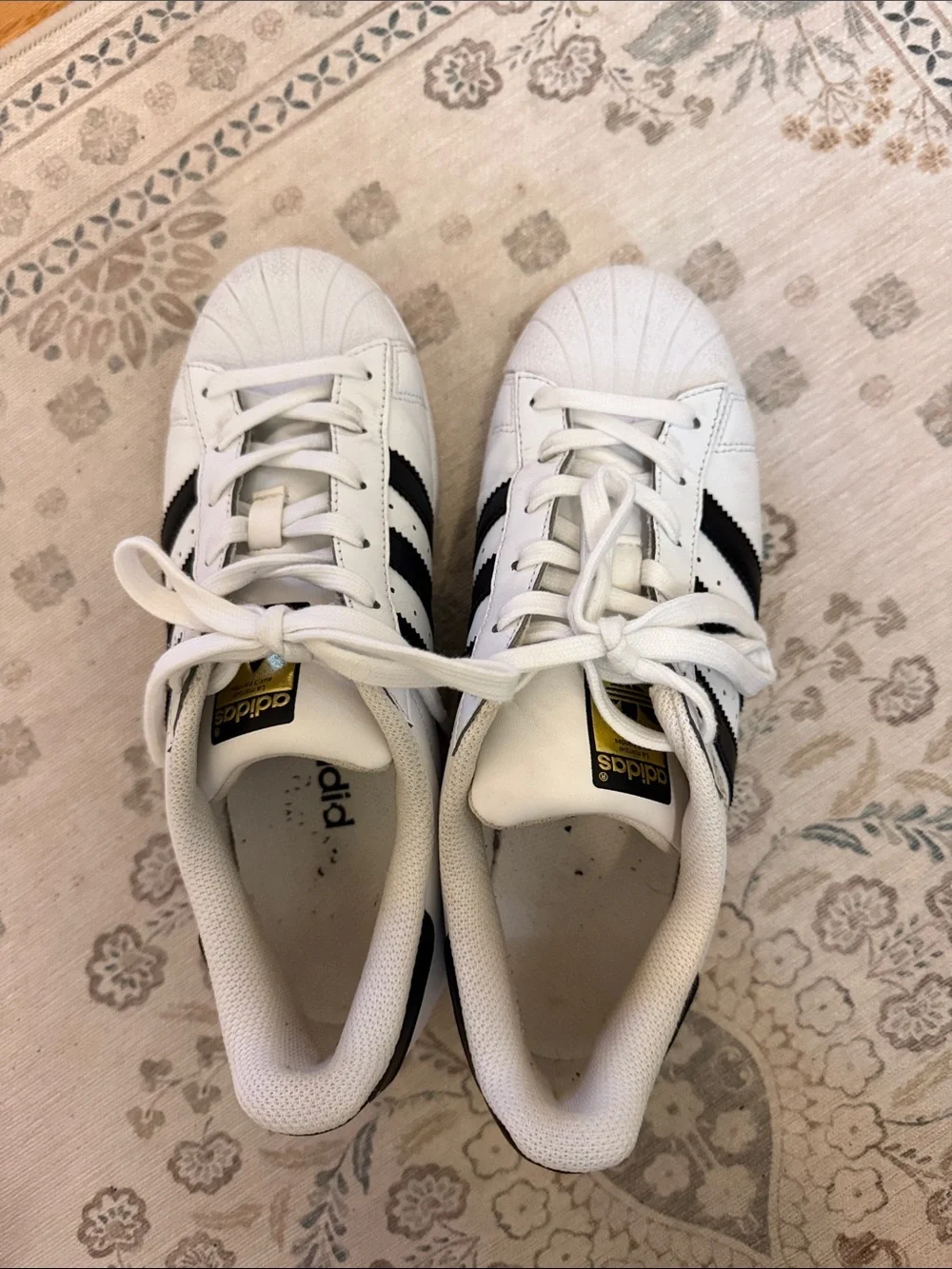 adidas iconic shell