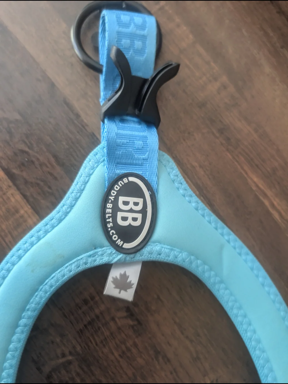N/A bright turquoise