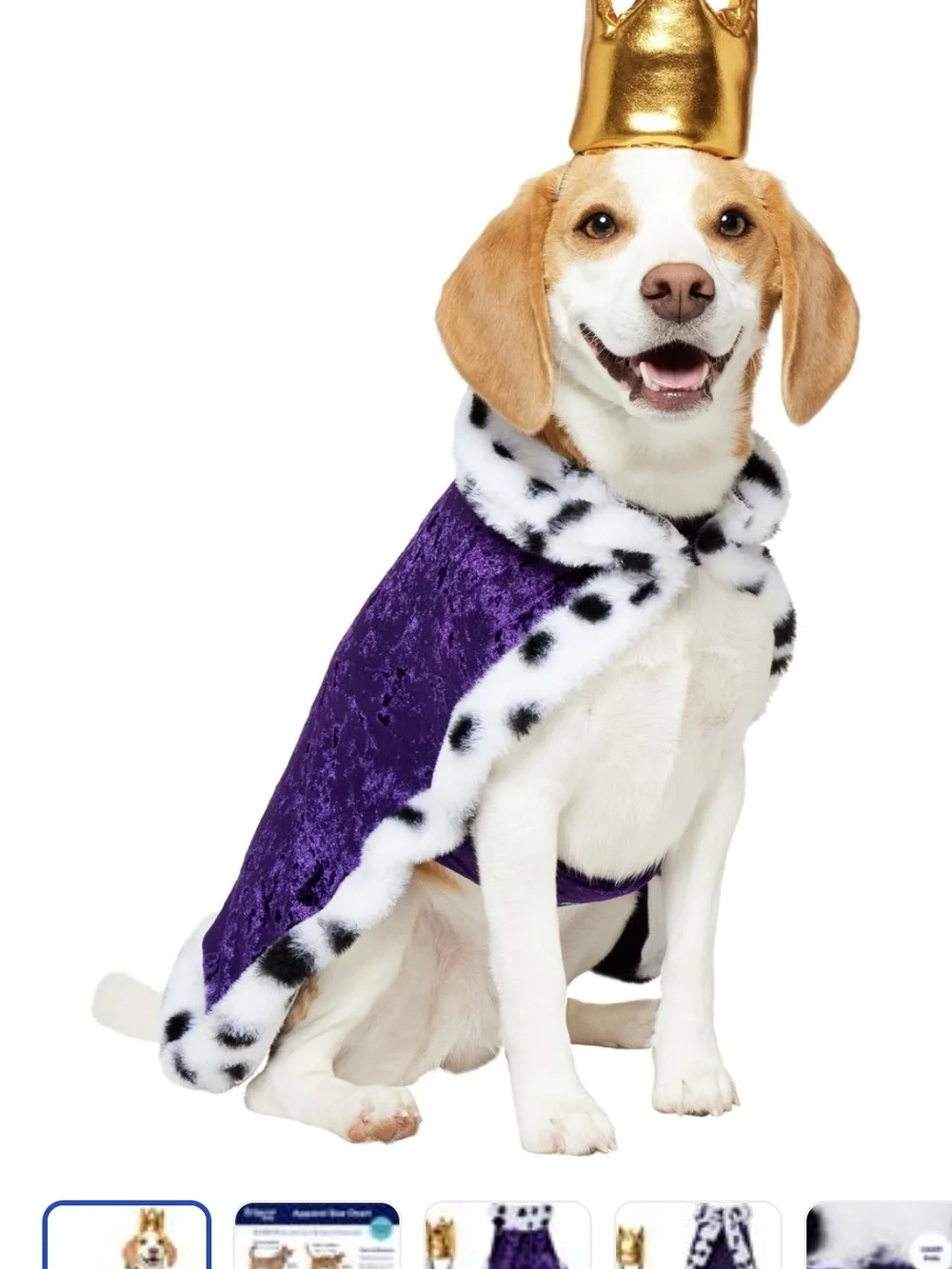 Purple Royal Pet Cape with Faux Fur Trim