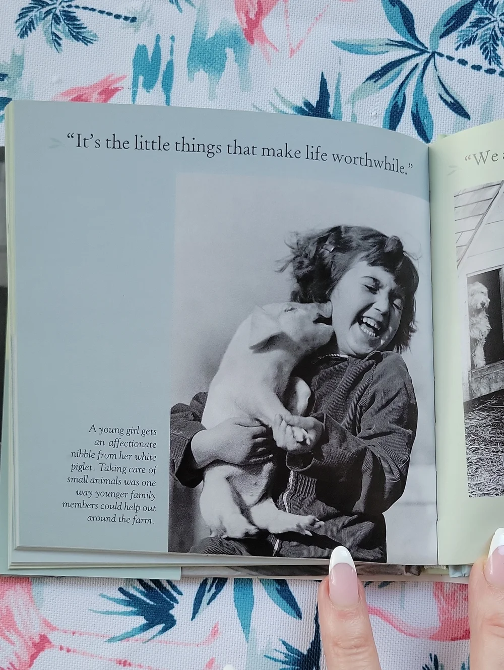 Grandma Always Said... The Little Book Of Country Wisdom By Pearl Hummerding
