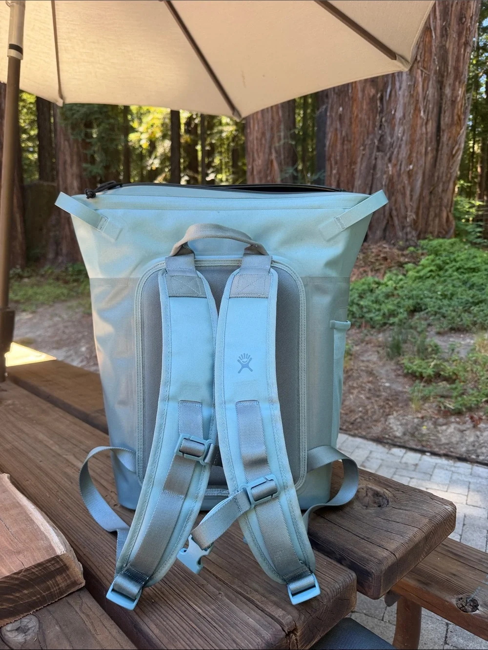 Hydro Flask 20L Day Escape soft cooler backpack Talus