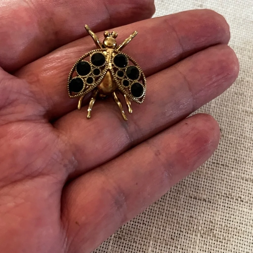 J. Crew charming ladybug