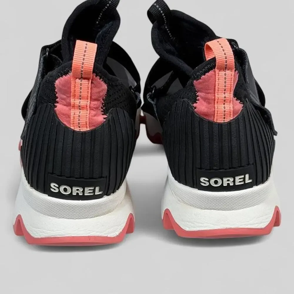 Sorel description kinetic