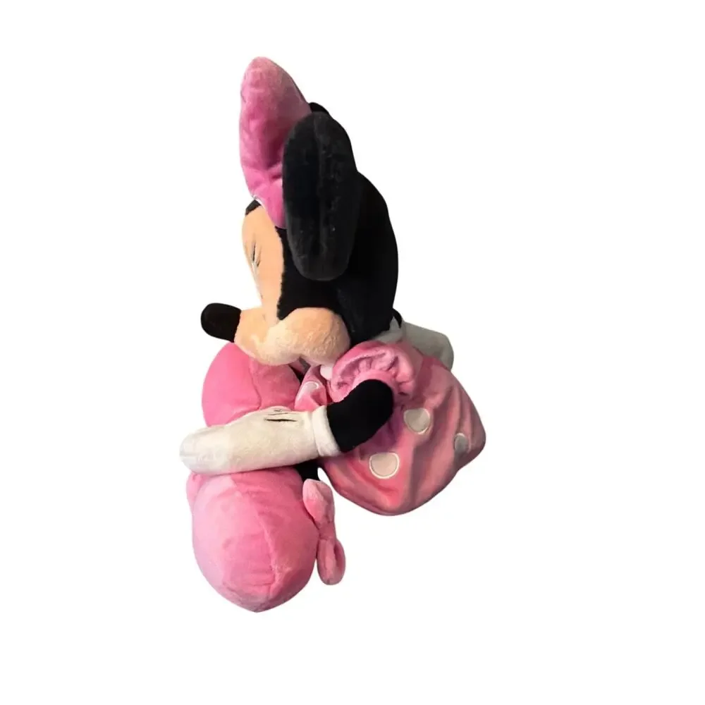 Disney bring home
