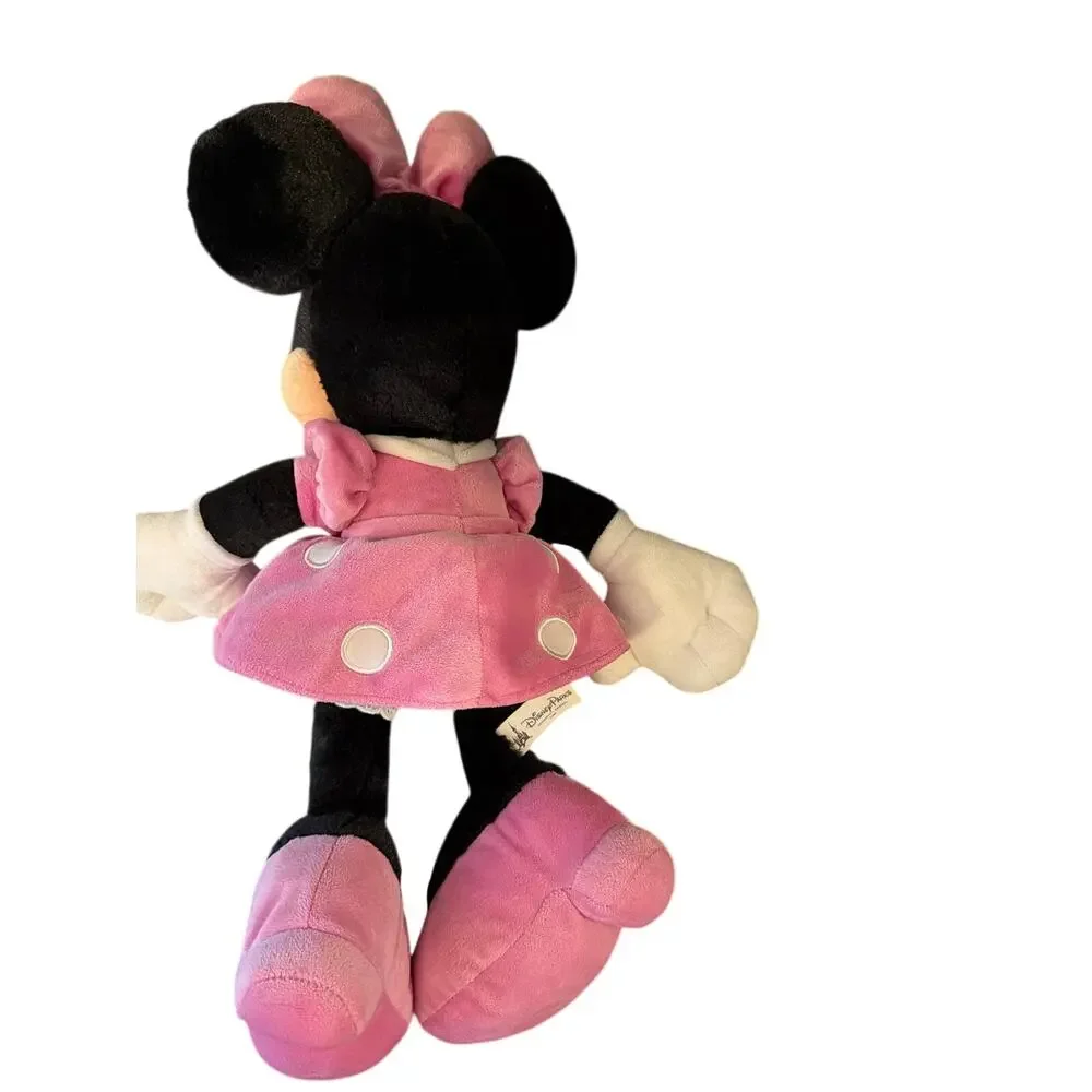 Disney bring home