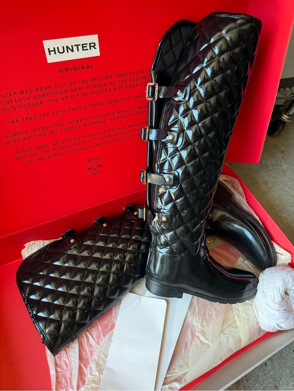 Hunter classic tall