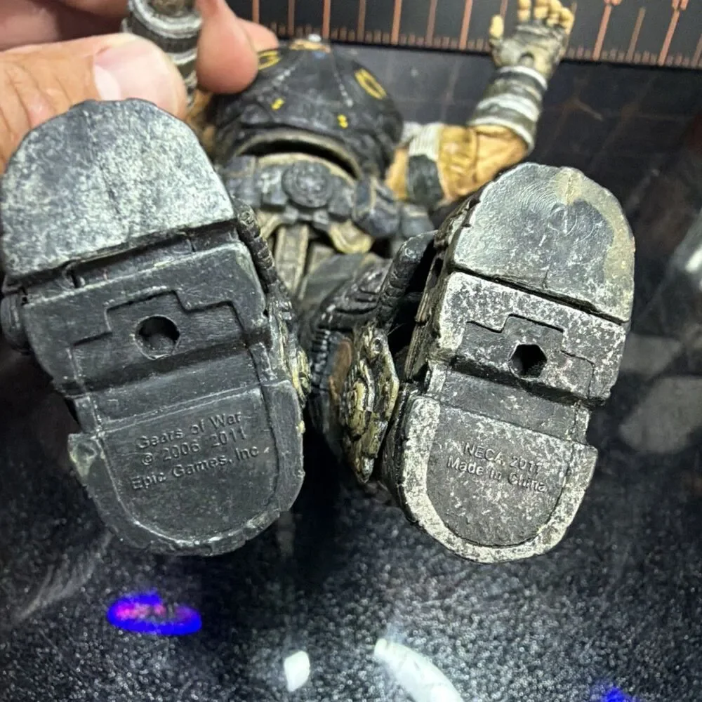 Neca bring home