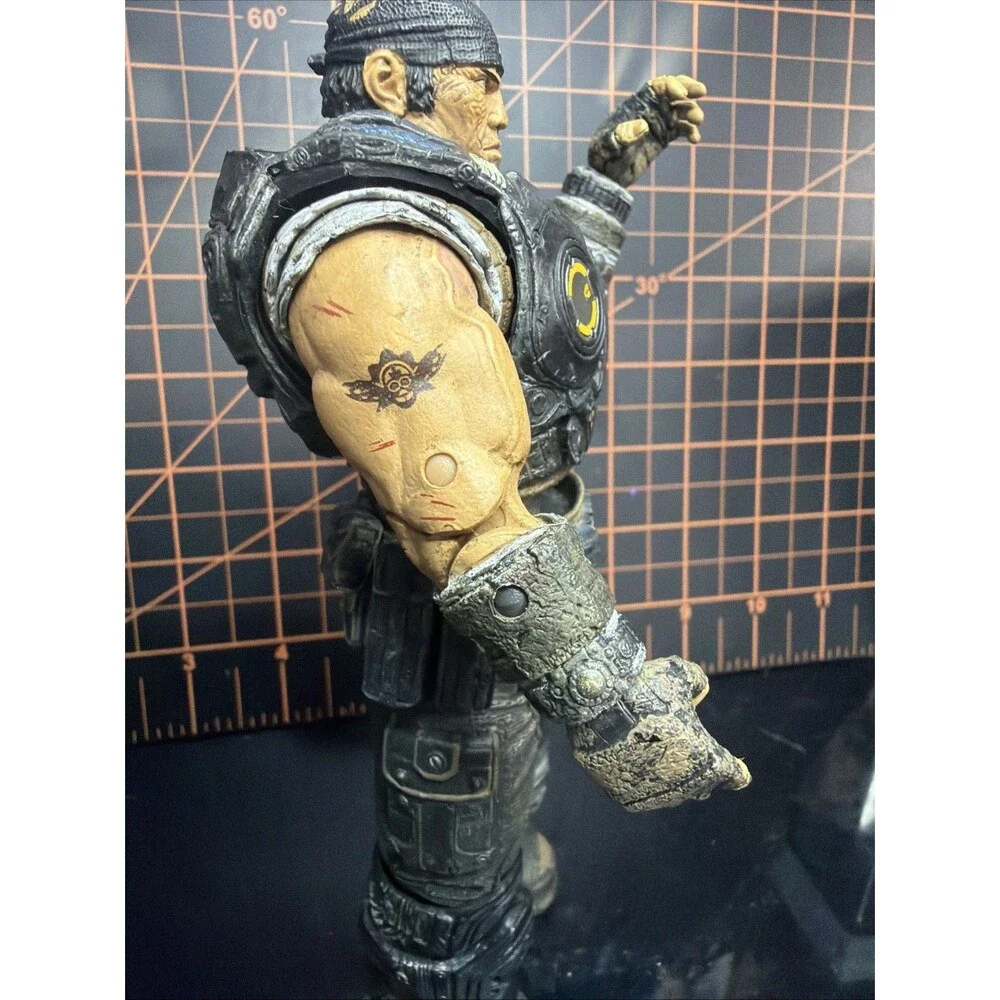 Neca bring home