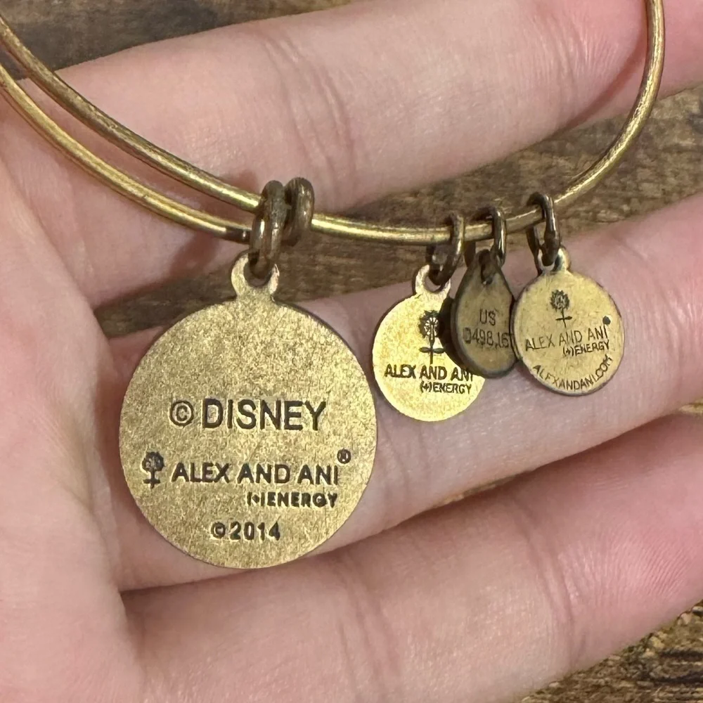 Alex and Ani excellent used