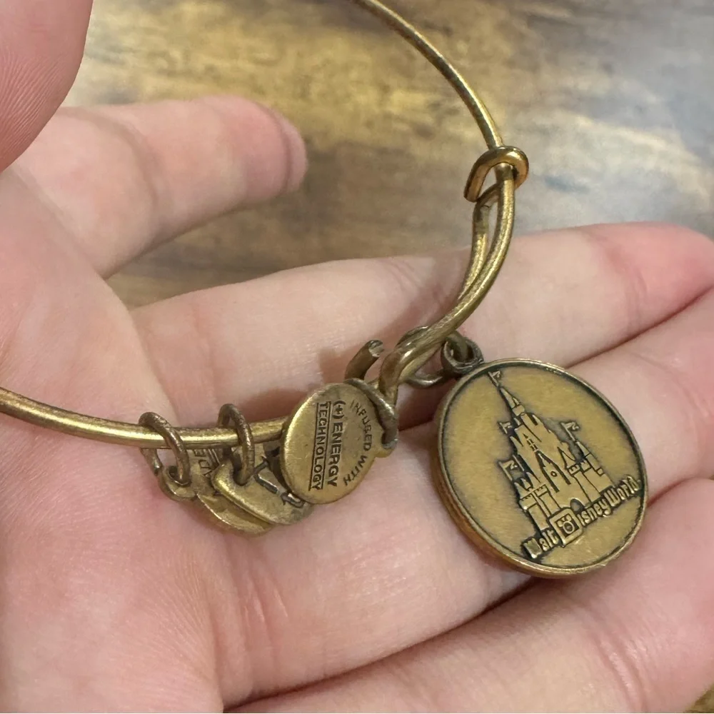 Alex and Ani excellent used