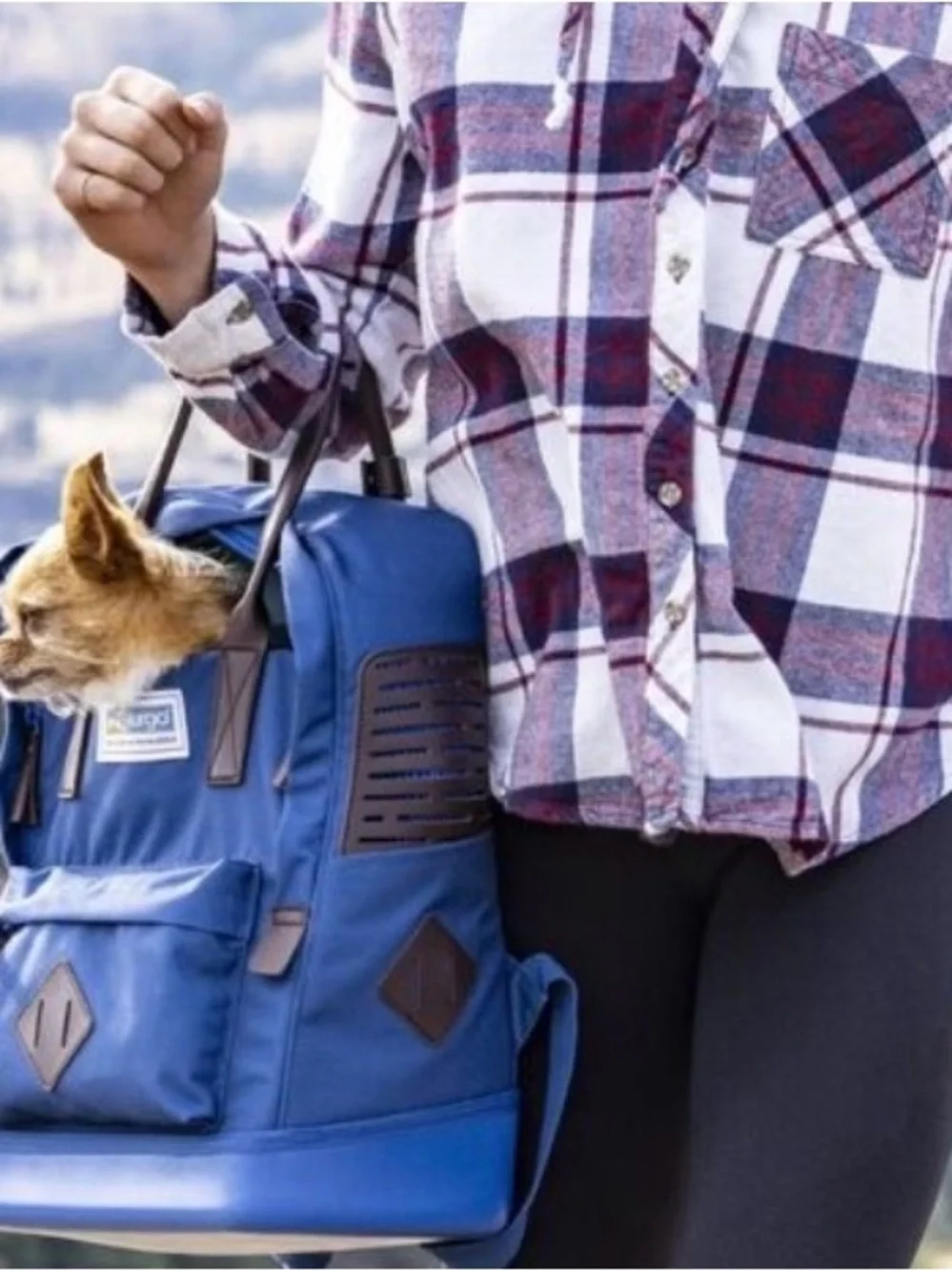 Kurgo Blue Backpack Pet Carrier with Teal Interior