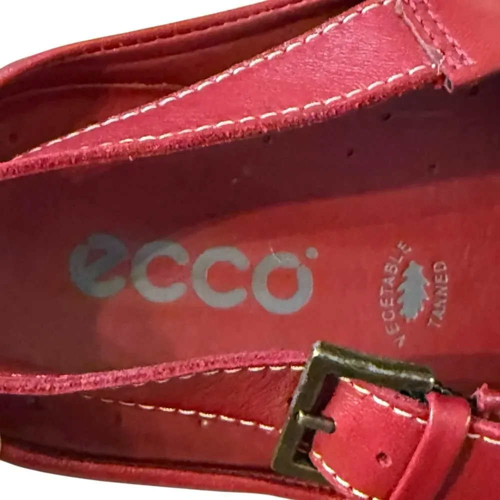 Ecco excellent red