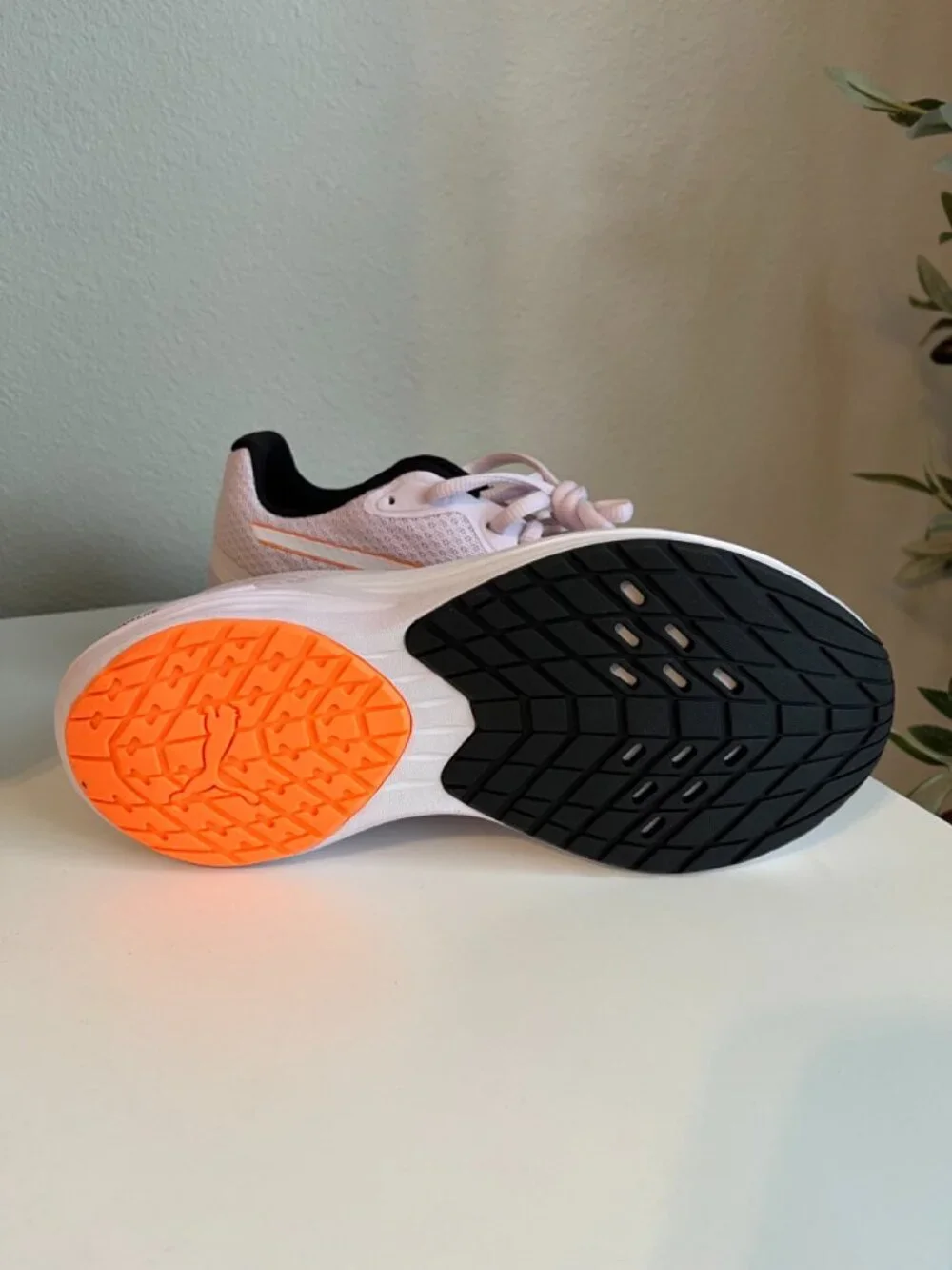 Puma super cute